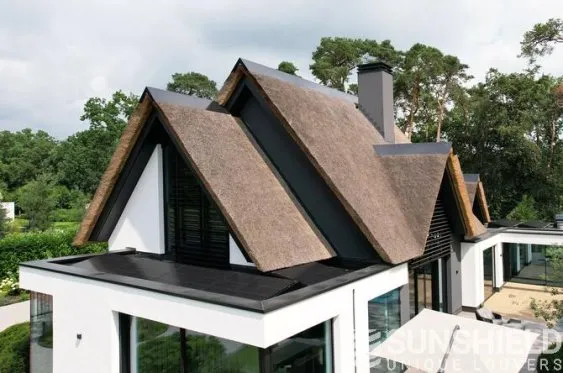 Maison moderne avec toit en chaume, située dans un environnement verdoyant, offrant une architecture unique et esthétique.