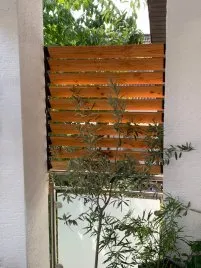 Panneau en bois éclairci avec une plante verte, créant une ambiance apaisante et naturelle dans un espace extérieur.