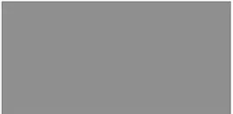 Aluminium gris <br> RAL 9007