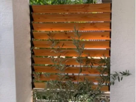 Nouvel espace ombragé pour Rémi