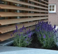 Vignette de la rubrique : Types de persiennes